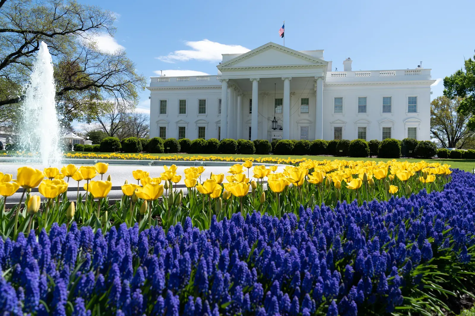 Das Weiße Haus in Washington, D.C., Ansicht der Nordseite mit Springbrunnen und Blumenbeeten