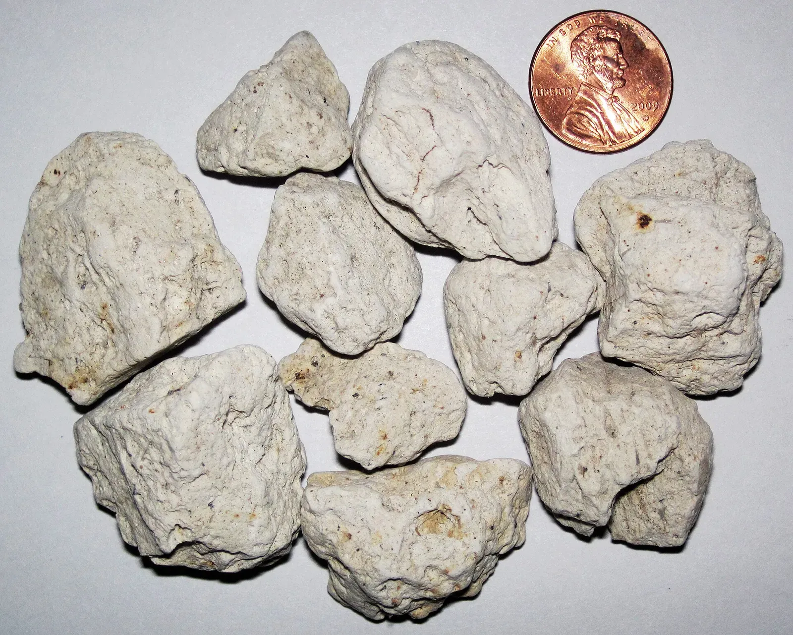 Pumice from the Holocene of Italy. (American 1 cent coin for scale) Mt. Vesuvius is the most famous volcano in Europe and has erupted on a semi-regul…