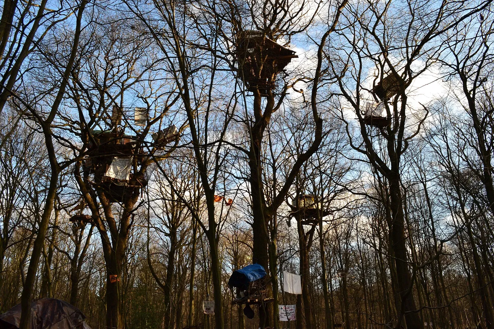 Baumhaus der Widerstandskämpfer, die sich gegen die Zerstörung des Hambacher Forsts einsetzen