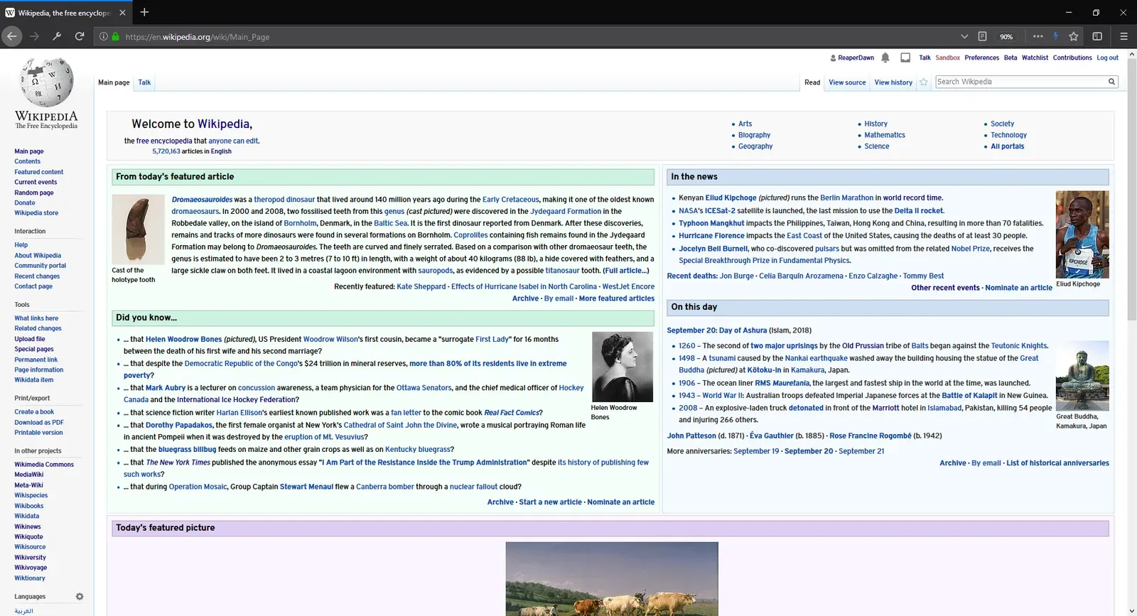 Firefox Developer Edition on Windows 10, version 63.0b7.